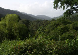 ArimaValley from veranda of Asa Wright Nature Centre
