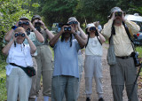 The View - Blanchisseuse Road (Transmission Hill)