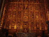 DSC00784.JPG