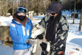 dog sledding with yves