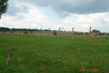 Birkenau_01.JPG