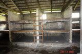 Birkenau_19.JPG
