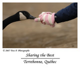 Sharing the best ...