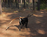 Gary gets a stick