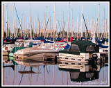 Dusk at the Marina