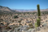 IMG_6427.jpg
