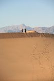 IMG_6463.jpg