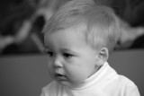 IMG_7973.jpg