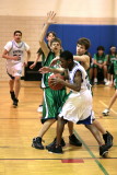 IMG_9937.jpg