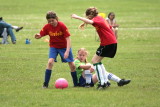 IMG_2696.jpg