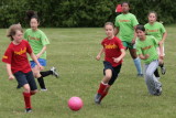 IMG_2804.jpg