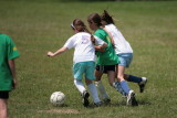 IMG_3715.jpg