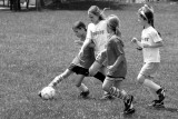 IMG_3782.jpg