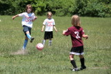 IMG_4078.jpg