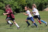IMG_4223.jpg