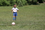 IMG_4240.jpg