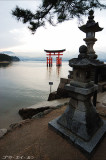 Stone Lanterns and Torii Gate