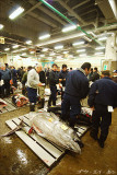 tsukiji08.jpg