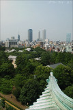 Nagoya Castle, top level view