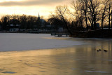 Ducks on the Frozen Mill Pond  ~  January 25