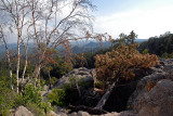 Needles Highway Scenic View