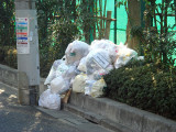 Rubbish Collection in morning