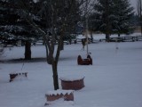 100_0154.jpg