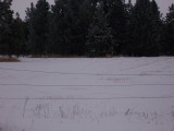 100_0159.jpg