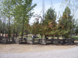 100_1223.jpg