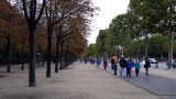 Avenue Des Champs Elysees - Paris