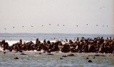 Walvis Bay