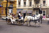 _DSC0038.JPG