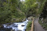 _DSC0116.JPG