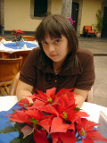 2006_dom03_ 007.jpg