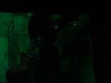 Acuario_Veracruz_ 003.jpg