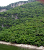 Caon del Sumidero_Rio Grijalva_Chiapas_ 041.jpg