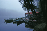 Canoes