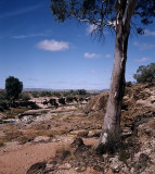 Outback Waterhole