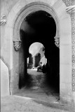 Meditation II<br><font size = 1>Leica M3