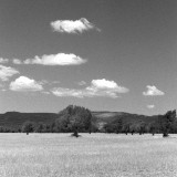 White Hot Day <br> <font size =2> in the Australian bush.