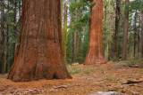Yosemite002-2.jpg