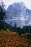 Yosemite027-2.jpg