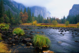 Yosemite028-2.jpg