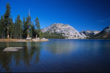 Yosemite047-2.jpg