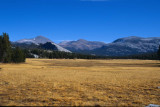 Yosemite049-2.jpg