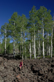 Cedar Breaks NM0067.jpg