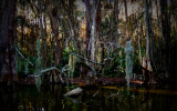 swamp art