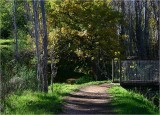 School pathway to the bridge