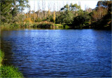 A nice full looking dam of water