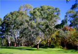 On the edge of the playing fields